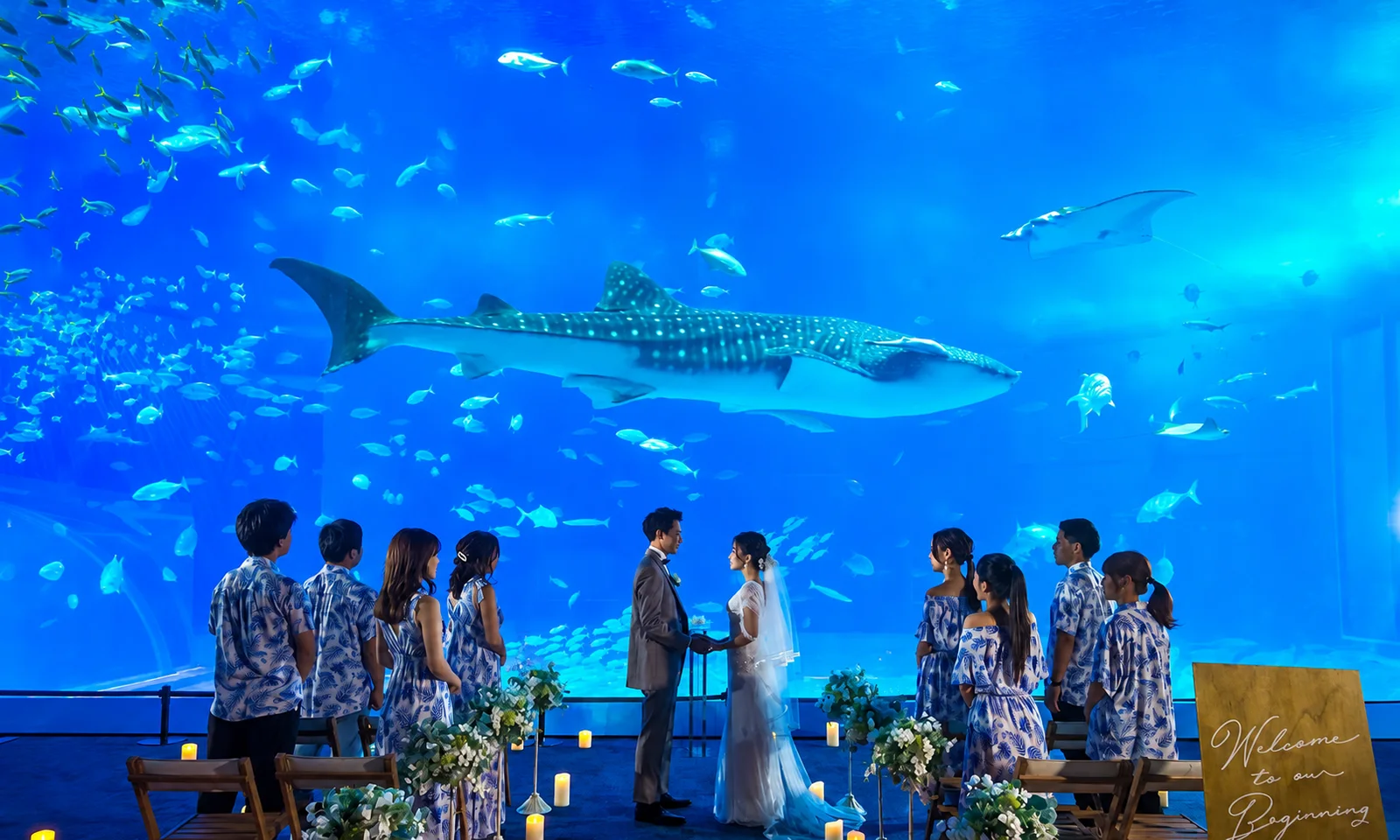 Churaumi Wedding 공간 사진 1